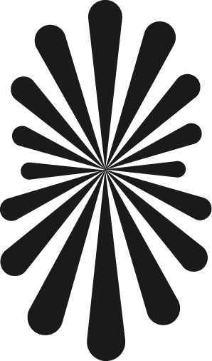 logo Saltaf